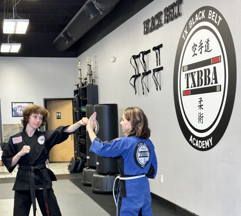 Exploring the Discipline of MMA Without Entering the Cage